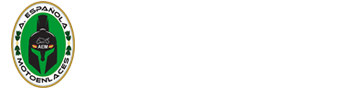 Asociación Española de Motoenlaces